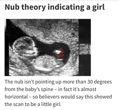 Due May 2020 (thread 3)