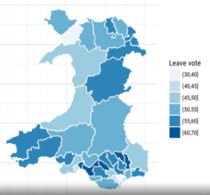 To be astonished that wales voted to leave the EU