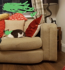 Would it be horribly outing to ask for a picture of your lounge?
