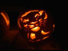 To ask you to rate our pumpkins?