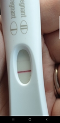 Ovulation day - 2ww just starting
