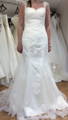 Opinions on this dress?