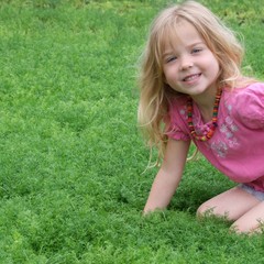 I want to get rid of my gravel garden!