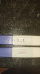Am I pregnant or in denial?
