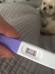 One step preg test evap?