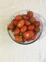 Allotment/Veg Patch Thread 14 ! growing into summer