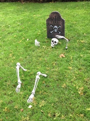 When do you put up your Halloween decs?