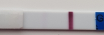 Line eyes..squinter?