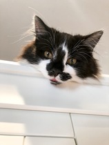 Struggling after losing our beautiful boy