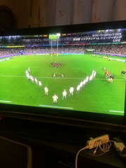 Rugby World Cup 2019