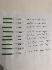 Immune/NK issues - aka Pred Thread no. 23!