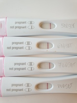Oct/Nov IVF, ICSI & FET - Let's do this!