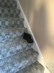 Would you buy a house with a steep staircase