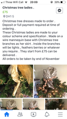 To check you have ordered your tree lady?