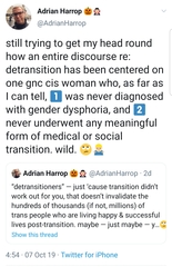The doctor and the detransitioner