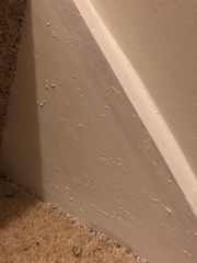 To be absolutely gutted with this paintwork?