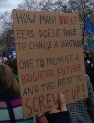 Inspiration needed - witty anti-Brexit placard quips