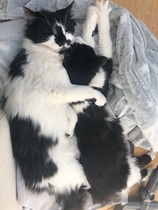Struggling after losing our beautiful boy