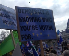 Inspiration needed - witty anti-Brexit placard quips