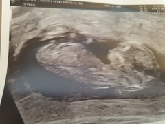Due May 2020 (thread 3)