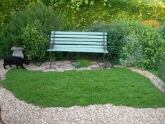 I want to get rid of my gravel garden!