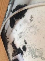 Mould on conservatory wall