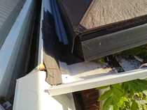 Mould on conservatory wall