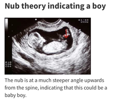 Due May 2020 (thread 3)