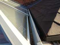 Mould on conservatory wall