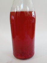 Any fermentistas/kombuchers about?