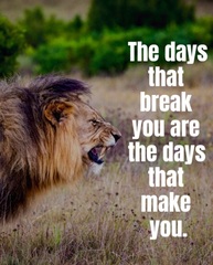 ‘Inspirational’ quotes that you actually quite like?
