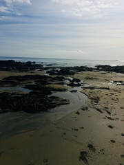 Any Witches Here? Part 9.