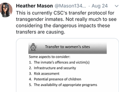Trans chat