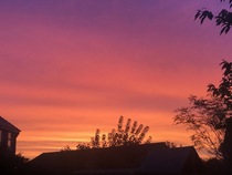 Any Witches Here? Part 9.