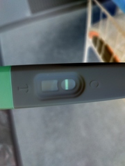 6DPO