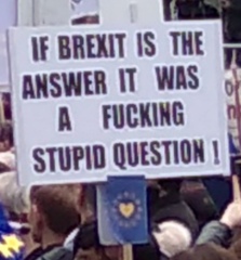 Inspiration needed - witty anti-Brexit placard quips