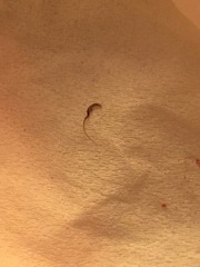 Look what DH and I just extracted from each other!!