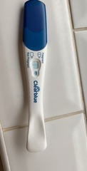Faint Pregnancy Test?