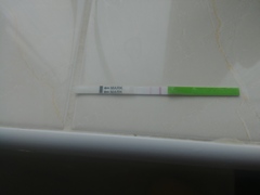 Fresh off the mini pill today-hoping for BFP Oct/Nov 2019 for a Summer 2020 Baby. NEED A BUDDY?