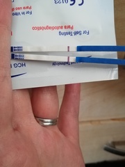 Tests
