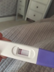 One step preg test evap?