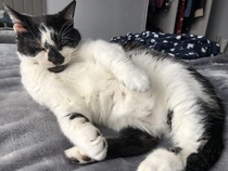 Handsome Harry!