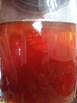 Any fermentistas/kombuchers about?