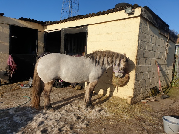Wankerbastards and autumn weather, crunchy leaves, browning heather. We want crisp, cool days and crisp, cool wine, or beer or gin. But only a couple, as we smash moderatin'.