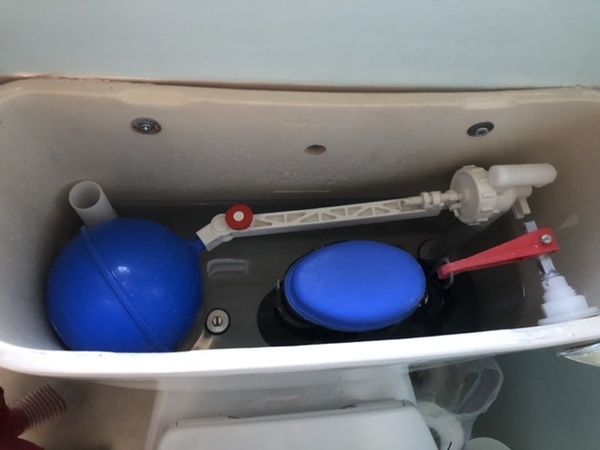 Toilet help