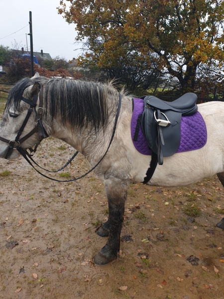 Wankerbastards and autumn weather, crunchy leaves, browning heather. We want crisp, cool days and crisp, cool wine, or beer or gin. But only a couple, as we smash moderatin'.