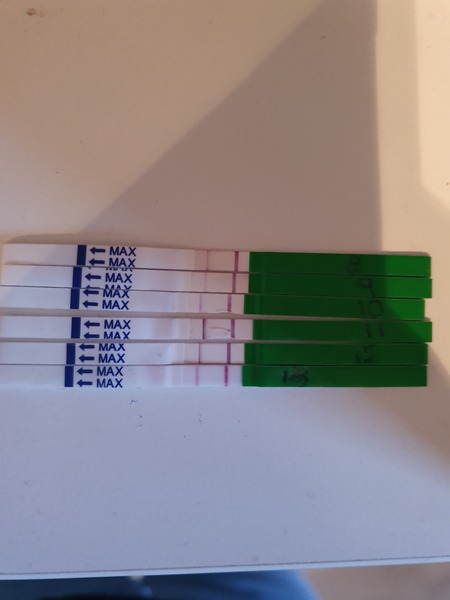 Ovulation tests - cant work it out