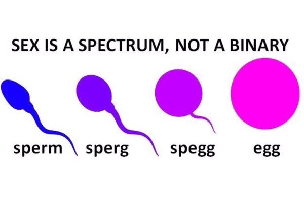 Alice Roberts - what the hell?