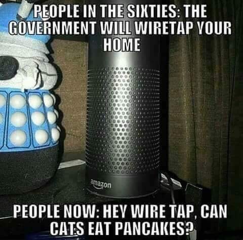 Alexa- what do you use it for?