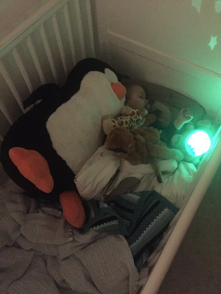 Friendly Frugaleers Festive Preparations and Financial Accountability